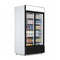Commercial Display Fridge With 2 Hinged Glass Doors 879L