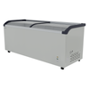 Borrelli Glass Top Commercial Chest Freezer 720 Ltr