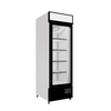 Borrelli Upright Display Freezer Single Door 495 Litre