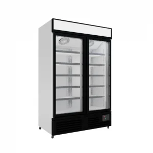 Commercial Upright Display Freezer With 2 Hinged Doors 1012L - image 2
