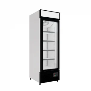 Commercial Upright Display Freezer With Hinged Door 459L - image 2