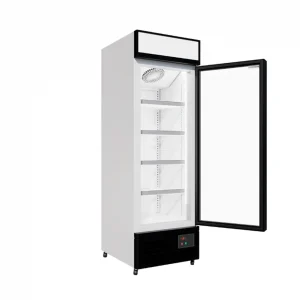 Commercial Upright Display Freezer With Hinged Door 459L - image 4
