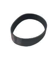 MS 12" Belt